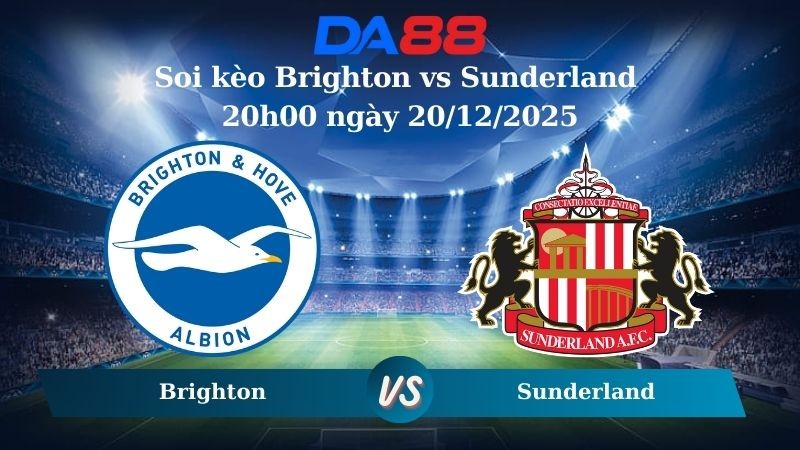 DA88 Nhận định soi kèo Brighton vs Sunderland 20h00 ngày 20/12/2025 – Ngoại hạng Anh