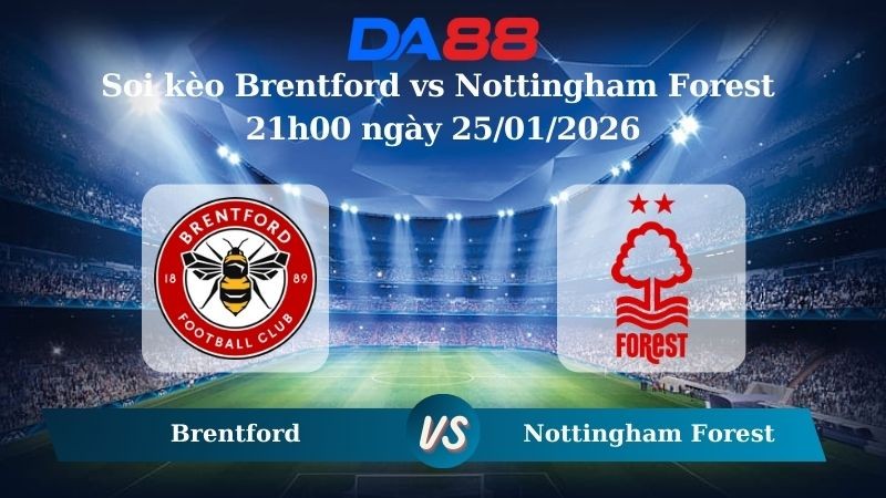 DA88 Nhận định soi kèo Brentford vs Nottingham Forest 21h00 ngày 25/01/2026 – Ngoại hạng Anh